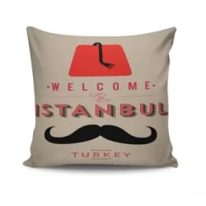 NKRLNT-019 Multicolor Cushion