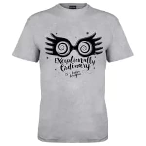 Harry Potter Mens Exceptionally Ordinary T-Shirt (3XL) (Grey Heather)