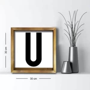 3030AHS-094a Multicolor Decorative Framed MDF Painting