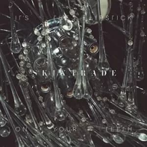 Skintrade by It's the Lipstick On Your Teeth CD Album
