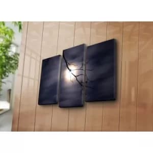 3NATPAT-36 Multicolor Decorative Canvas Painting (3 Pieces)