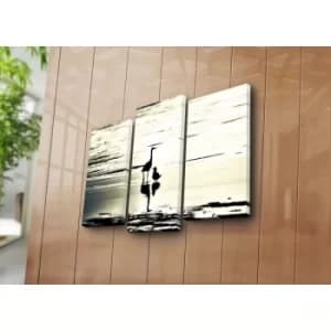 3NATPAT-35 Multicolor Decorative Canvas Painting (3 Pieces)