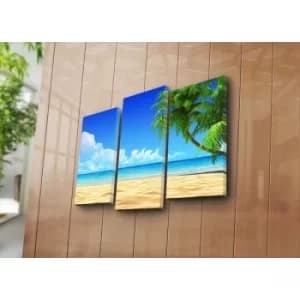 3NATPAT-8 Multicolor Decorative Canvas Painting (3 Pieces)