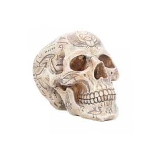 Hieroglyphic Skull
