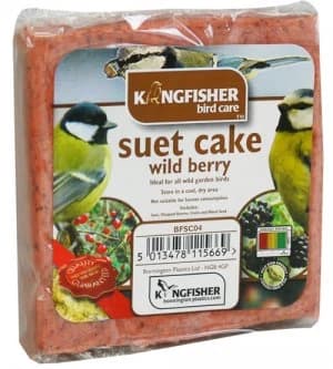 Kingfisher Wild Berry Suet Cake