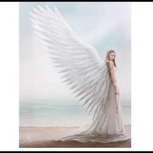 Large Spirit Guide Canvas Picture by Anne Stokes