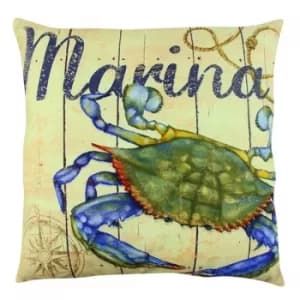 A12571 Multicolor Cushion