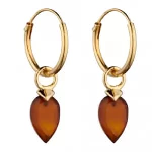 January Yellow Gold Plated Birthstone Chalcedony Stone Hoop Charm Earring Y2661