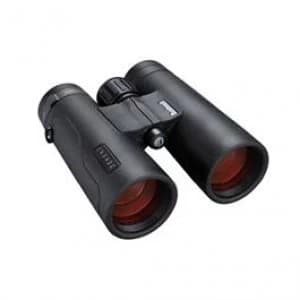 Bushnell Engage 10x42