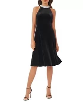 Adrianna Papell Embellished Velvet Dress