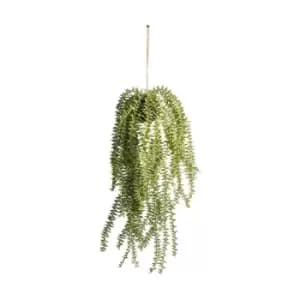Gallery Interiors Hanging Cactus Horsetail