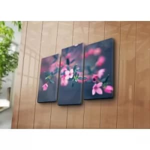 3NATPAT-24 Multicolor Decorative Canvas Painting (3 Pieces)