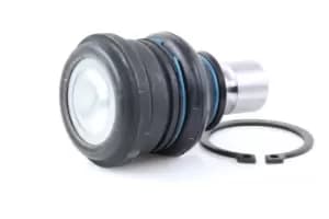 RIDEX Ball joint 2462S0364 Suspension ball joint,Suspension arm ball joint RENAULT,NISSAN,Clio III Schragheck (BR0/1, CR0/1)