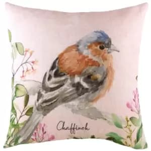Evans Lichfield Chaffinch Cushion Cover (43cm x 43cm) (Multicoloured)
