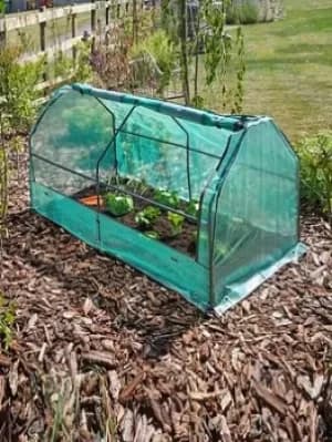 Smart Garden Grozone Max Cloche