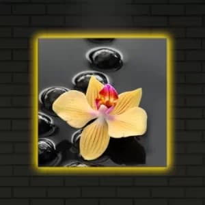 4040DACT-5 Multicolor Decorative LED Lighted Canvas Painting