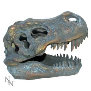 Tyrannosaurus Rex Skull Freestanding