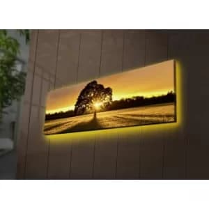 3090DACT-68 Multicolor Decorative LED Lighted Canvas Painting