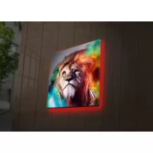 4040DACT-38 Multicolor Decorative LED Lighted Canvas Painting