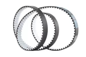 DAYCO Timing Belt VW,AUDI,SKODA 941033 03L109119B,03L109119C,03L109119E Cam Belt,Toothed Belt 03L109119G,03L109119J,3L109119G,3L109119J,03L109119G