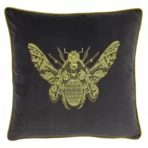 Cerana Bee Velvet Cushion Charcoal / 50 x 50cm / Cover Only
