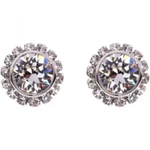 Ted Baker Ladies Stainless Steel Sully Crystal Chain Stud Earring