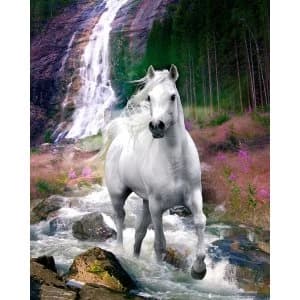 Bob Langrish Waterfall Mini Poster