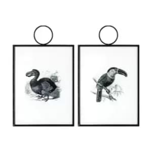 Gallery Interiors Exotic Birds Hanging Art Set Of 2 Wall Art Outlet