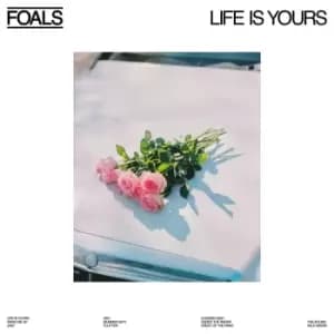 Foals Life is yours LP multicolor