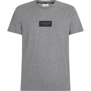 Calvin Klein Box Logo T Shirt - Grey
