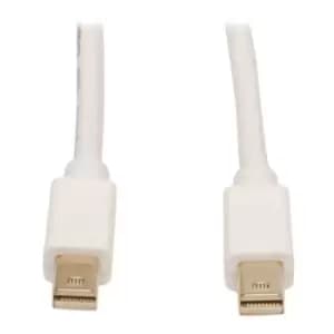 3.05 M Mini Displayport Cable 3F10383