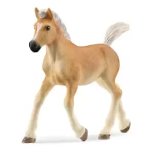 Schleich Horse Club Haflinger Foal Toy Figure, 5 to 12 Years, Tan...