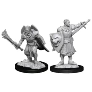 Pathfinder Battles Deepcuts Unpainted Miniatures (W14) Human Champion Male