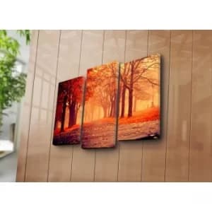 3NATPAT-7 Multicolor Decorative Canvas Painting (3 Pieces)