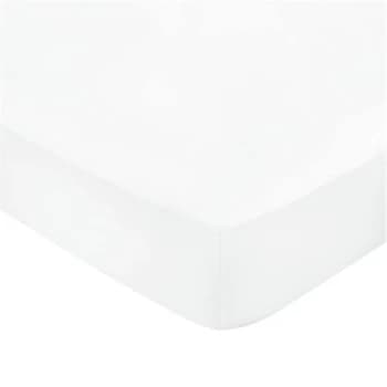 Bedeck of Belfast Fine Linens 600TC Plain Dye Fitted Sheet - WHITE