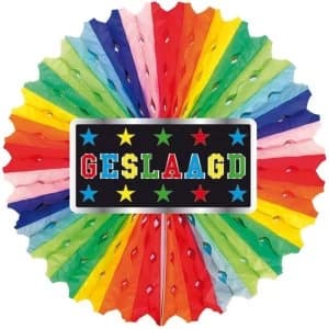 Honeycomb Fan (Multicoloured)