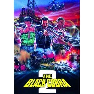 Black Cobra 2 1988 DVD