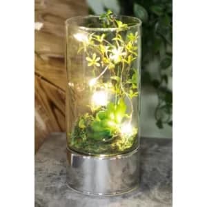 Glass Tube Terrarium with Artificial Succulents and LEDs