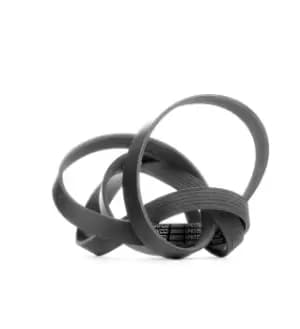 DAYCO V-ribbed belt VW,MERCEDES-BENZ,FORD 6PK1750 46769821,51855784,71739910 71749452,047903137AB,074145933AR,575027,5750W3,5750YG,5750Z6,5750Z7