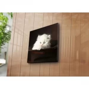 4545NAT-40 Multicolor Decorative Canvas Painting