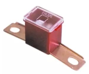 Fuse - Screw Fit Slow Blow - 100A PWN664 WOT-NOTS