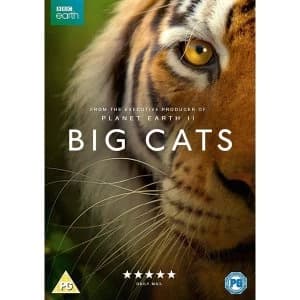 Big Cats DVD
