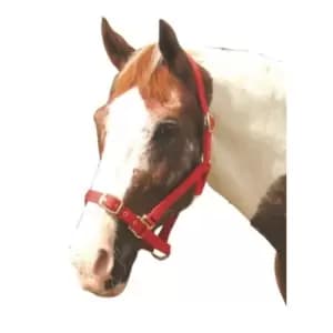 Roma Adjustable Headcollar - Red