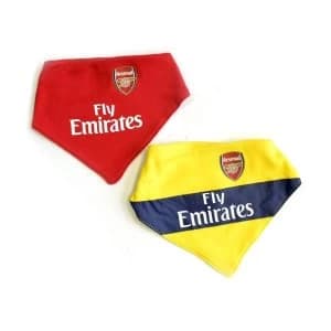 Arsenal Two Pack Bib Set 2019 20