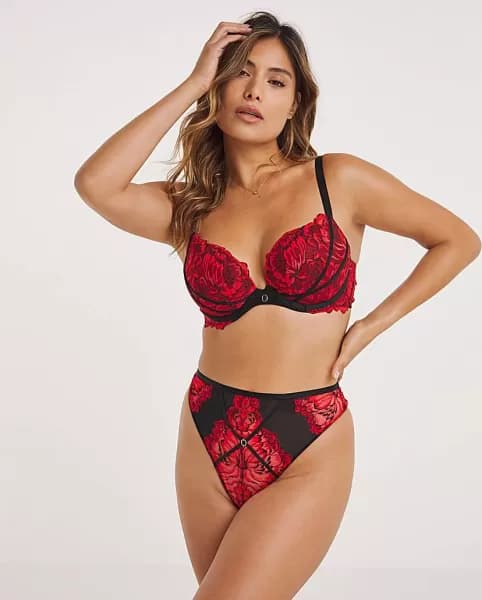 Ann Summers Nightfall Lace Brief