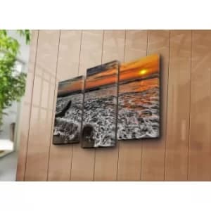 3NATPAT-21 Multicolor Decorative Canvas Painting (3 Pieces)