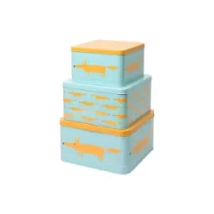 Mr Fox Set of 3 Square Cake Tins Blue - Scion Living