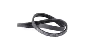 Bosch V-ribbed belt 1 987 947 808 Serpentine belt,Auxiliary belt SKODA,PEUGEOT,HYUNDAI,FELICIA I (6U1),FELICIA I Kombi (6U5),FAVORIT (781)