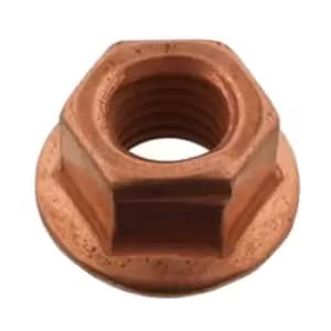 Manifold Nut FEBI
