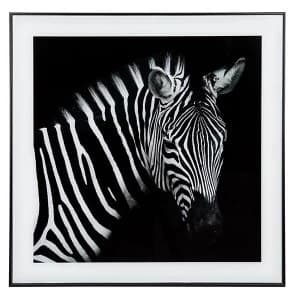 Decor Picture Square Large Zebra